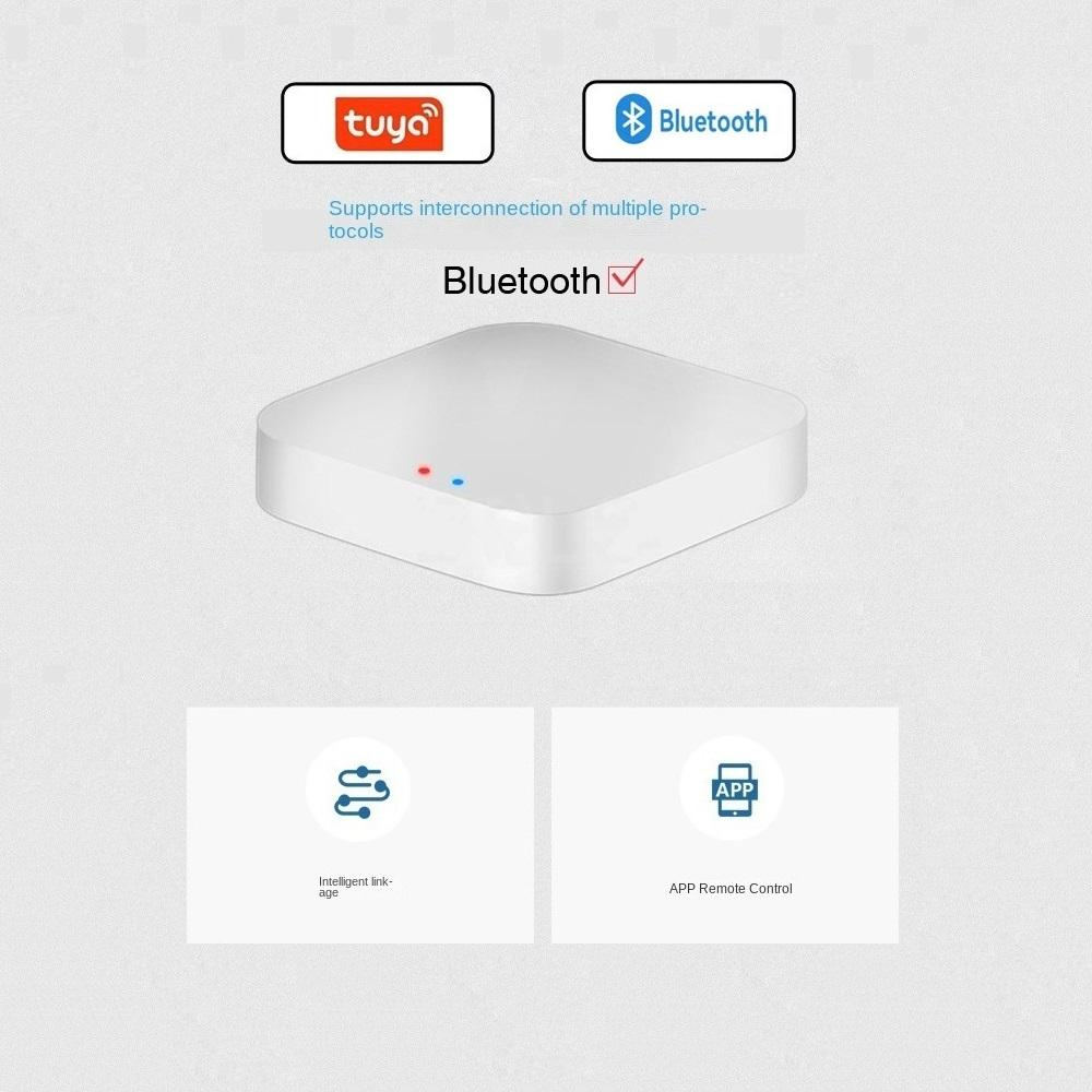 Tuya / Smart Life Gateway Hub  - Smart Home Gira incelemesi ve fiyatı