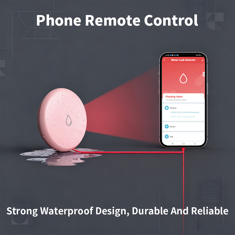 Zigbee Kaçak Sensörü Tuya Smar - Alexa Compatible Bulb incelemesi ve fiyatı